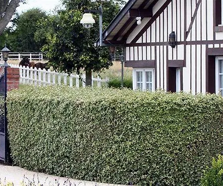 Hostellerie De La Hauquerie-Chevotel 3*